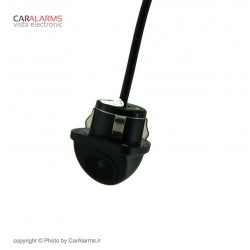 car-cctv-cheetah4